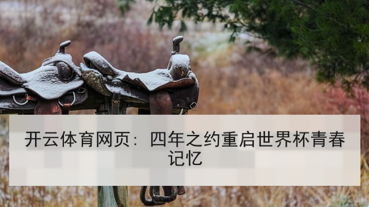 开云体育网页: 四年之约重启世界杯青春记忆 开云体育网页: 四年之约重启世界杯青春记忆