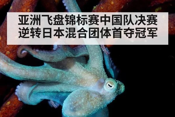 亚洲飞盘锦标赛中国队决赛逆转日本混合团体首夺冠军